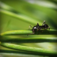/album/pagicatthia/photolia-a05-jpg/