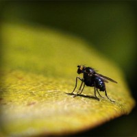 /album/pagicatthia/photolia-a07-jpg/